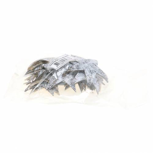 Artikel Kokosstjärna vittvättad 10cm 20 st