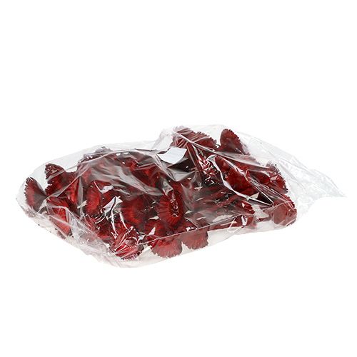 Artikel Compacta rosett röd 40 st