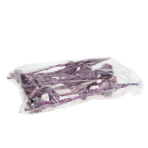 Artikel Compacta Rosette Frosted Blackberry 20 st