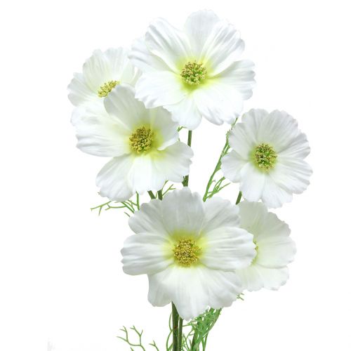 Floristik24 Cosmea vit 77cm 3st
