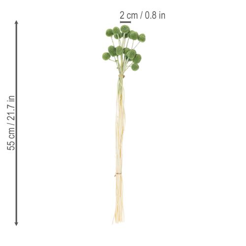 Artikel Torkade Craspedia-blombollar för snygga höstdekorationer, 55 cm, 20 stycken