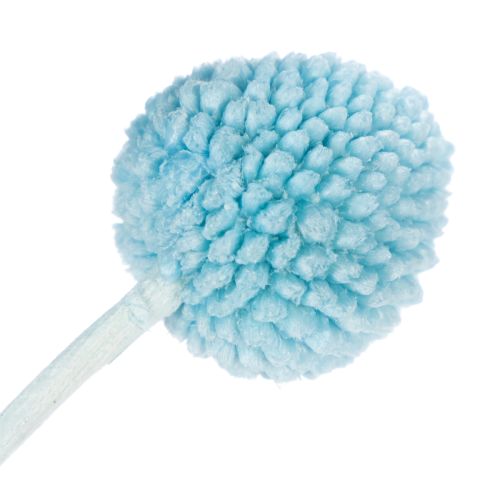 Artikel Craspedia torkade blomsterdekorationer för vas, minimalistisk stil, hållbar sommardekoration, 55 cm, 20 stycken