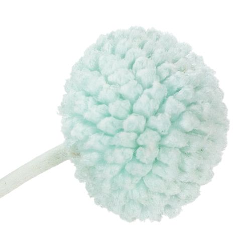 Artikel Torkade Craspediablommor, dekorativ bukett för vardagsrum, bordsdekoration, bröllop, 55 cm, 20 stycken