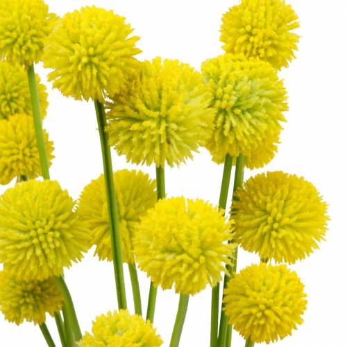 Floristik24 Trumpinnar Craspedia Gul Konstgjord Trädgårdsblomma Sidenblommor 15st