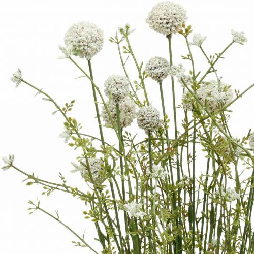 Floristik24 Konstgjord trumstick vit craspedia bunt torkning bukett 3st