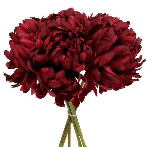 Floristik24 Krysantemumbukett Bordeaux 28cm 6st