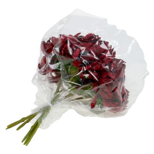 Floristik24 Krysantemumbukett Bordeaux 28cm 6st