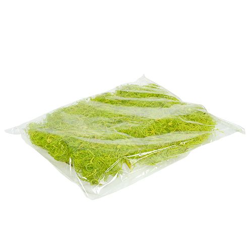 Floristik24 Lockig mossa ljusgrön 350g