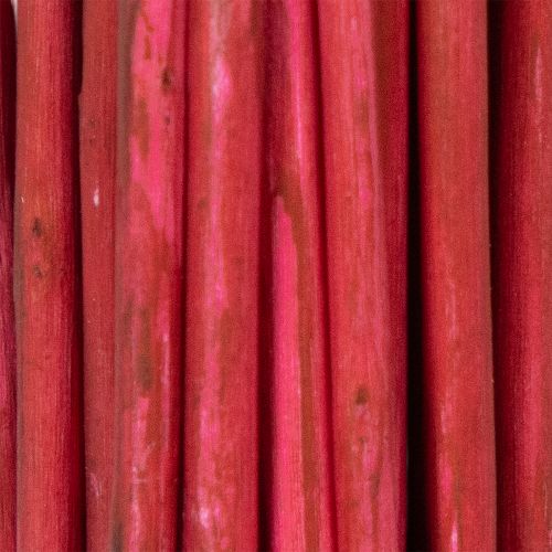 Artikel Torkad dekorativ gren av lockig pil för kreativ blomsterhandel och heminredning 80 cm 70 g