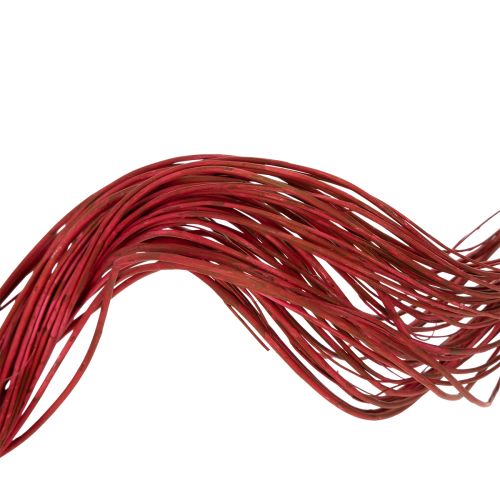 Artikel Torkad dekorativ gren av lockig pil för kreativ blomsterhandel och heminredning 80 cm 70 g