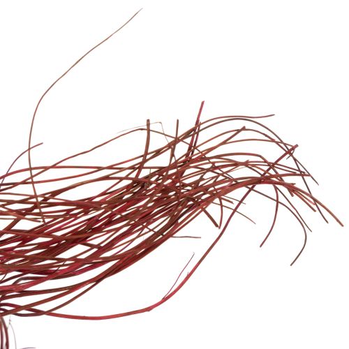 Artikel Torkad dekorativ gren av lockig pil för kreativ blomsterhandel och heminredning 80 cm 70 g