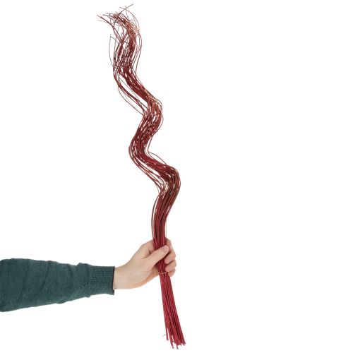 Artikel Torkad dekorativ gren av lockig pil för kreativ blomsterhandel och heminredning 80 cm 70 g