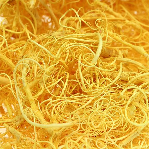 Floristik24 Lockig mossa ljusgul 350g