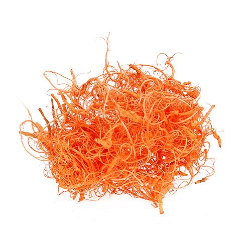 Floristik24 Curly Moss Orange 350g
