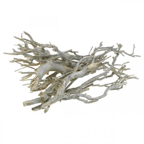 Floristik24 Currybuske dekorativa grenar, juldekoration, advent, naturlig dekoration Gyllene, tvättad vit L25–30cm 500g