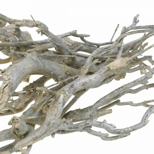 Floristik24 Currybuske dekorativa grenar, juldekoration, advent, naturlig dekoration Gyllene, tvättad vit L25–30cm 500g