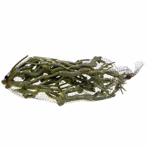 Artikel Deco gren currybuske grön tvättad 500g