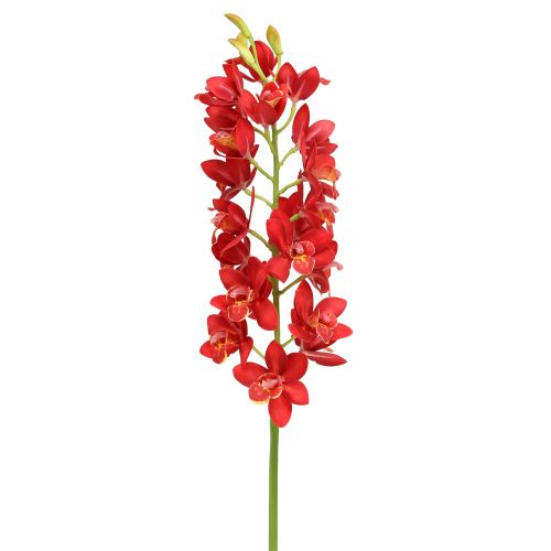 Floristik24 Orchid cymbidium röd 78cm