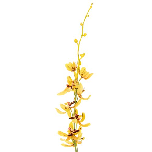 Artikel Konstgjord Cymbidium-orkidé som blomstjälk för elegant dekoration, 95 cm, 2 stycken