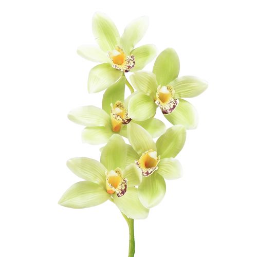 Artikel Cymbidium orkidé konstgjord 5 blommor grön 65cm