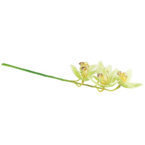 Artikel Cymbidium orkidé konstgjord 5 blommor grön 65cm