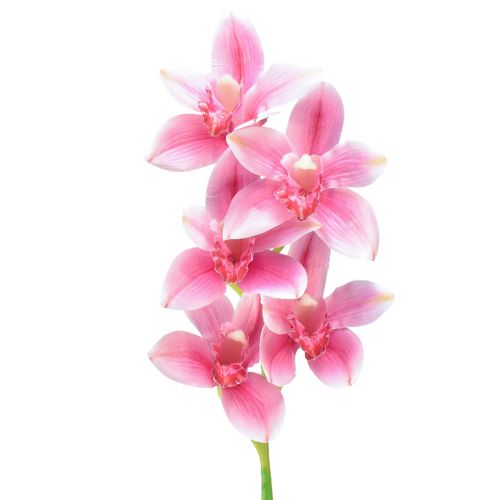 Cymbidium orkidé konstgjord 5 blommor rosa 65cm
