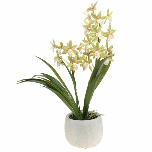 Floristik24 Orchid Cymbidium Grön i kruka Konstgjord H46cm
