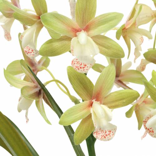 Artikel Orchid Cymbidium Grön i kruka Konstgjord H46cm