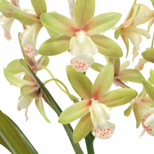 Floristik24 Orchid Cymbidium Grön i kruka Konstgjord H46cm