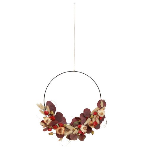 Artikel DIY boxring med torkade blommor ögla halmblommor Ø30cm