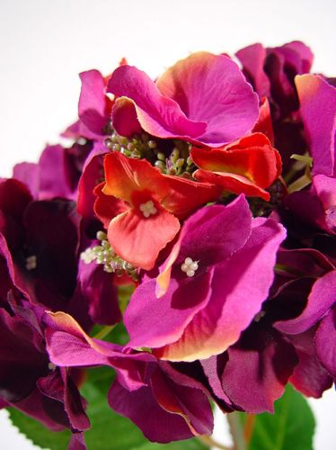 Floristik24 Hortensia 43 cm mörk lila (3st.)