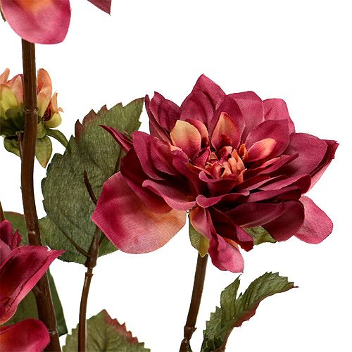 Floristik24 Dahlia Erika Ø10cm L68cm 3st