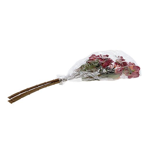 Floristik24 Dahlia Erika Ø10cm L68cm 3st