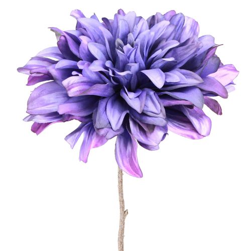 Floristik24 Konstgjord dahlia med stora blommor i lila L58cm