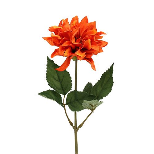 Floristik24 Dahlia Orange 28cm 4st