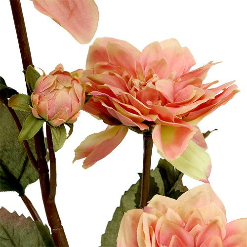 Floristik24 Dahlia rosa Ø10cm L68cm 3st