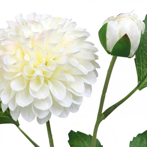 Artikel Dahlia konstgjorda konstgjorda blommor krämgröna 2 blommor 60cm