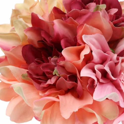 Floristik24 Dahlia gängbukett 28cm rosa, grädde 6st
