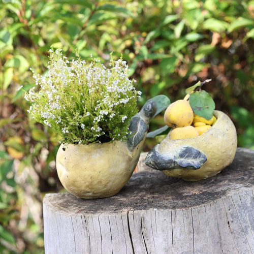Floristik24 Dekorativ päronplanter höstkruka betong 25×13×11 cm