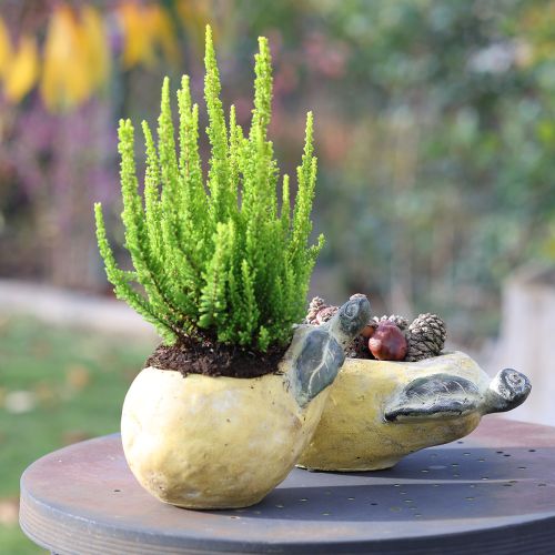 Artikel Dekorativ päronplanter höstkruka betong 25×13×11 cm