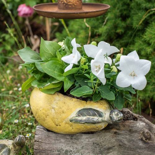 Artikel Dekorativ päron, keramik för dekoration, höst, växtkruka L25cm H11cm