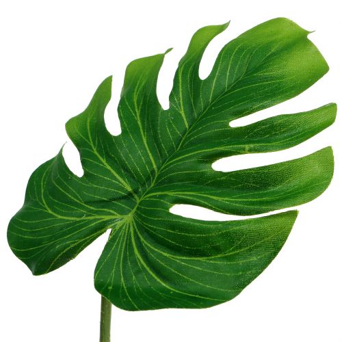 Floristik24 Deco Leaf Philo Leaf Green B11cm L29,5cm 3st