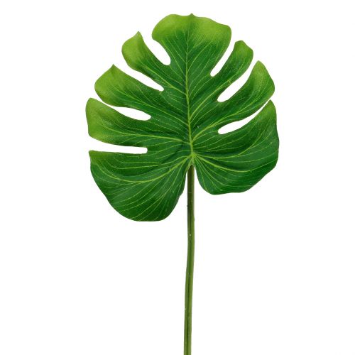 Floristik24 Deco Leaf Philo Leaf Green B11cm L29,5cm 3st