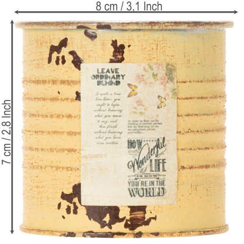 Artikel Dekorativ plåt, sommaraprikosfärgad, metallplåt, blomkruka, Ø8cm H7,5cm