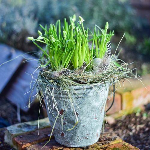 Floristik24 Dekorativ hink, blomkruka, keramisk hink antik look Ø19.5cm H19cm