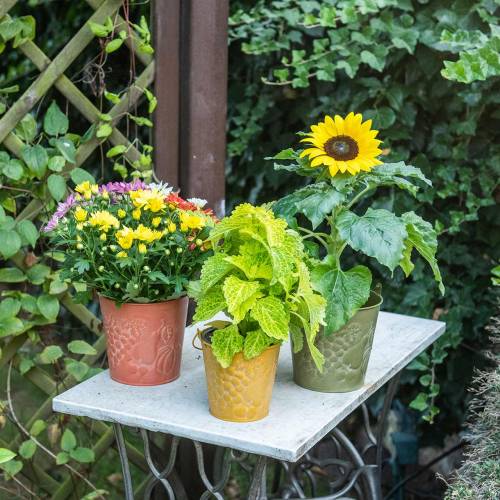 Floristik24 Dekorativa hink frukt gula, orange, grön tvättade Ø12,5 cm H12cm uppsättning av 3