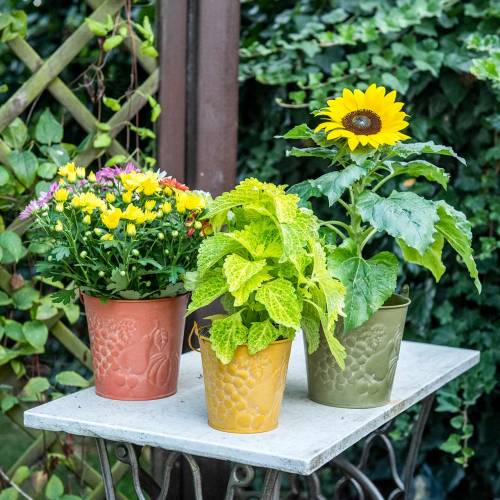Artikel Dekorativ hink med frukt tvättad gul, orange, grön Ø15cm H14cm set om 3