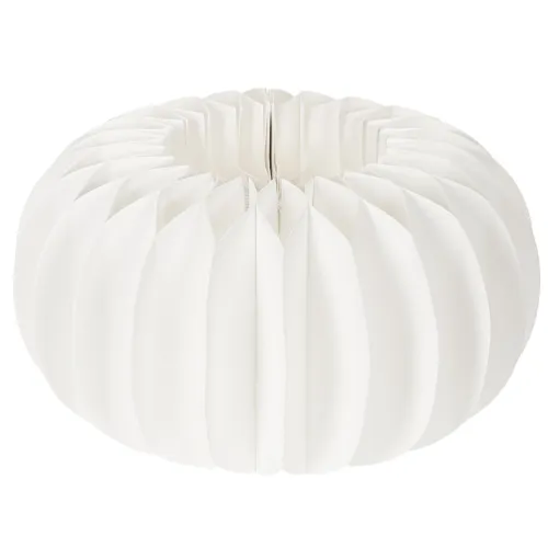 Runda pumpor av honungskakapapper, stora för torkade blommor och höstdekorationer, 24 cm, 4 st