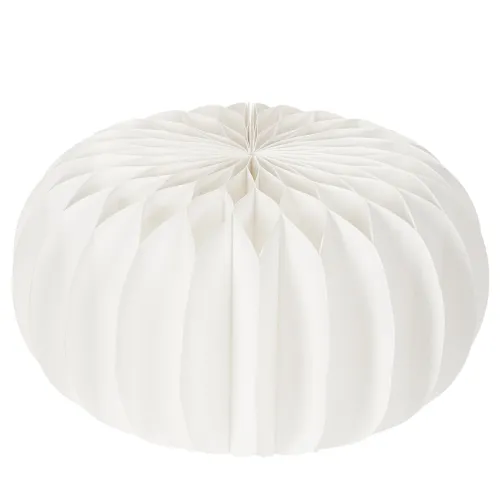 Runda pumpor av honungskakapapper, stora för torkade blommor och höstdekorationer, 24 cm, 4 st | Floristik24.se