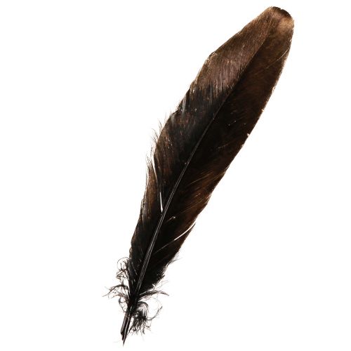 Artikel Dekorfjädrar guld Juldekorationsfjädrar 15-20cm 12 st